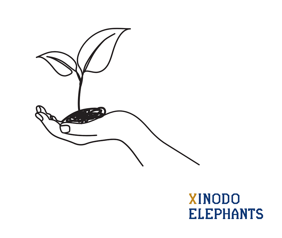 新小戸エレファンツ