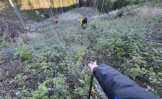 WhatsApp Image 2025-11-25 at 15.16.55.jpeg