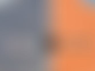 Colorbond vs Tile Roofing – What’s Best for Coastal Homes in Central Coast NSW?