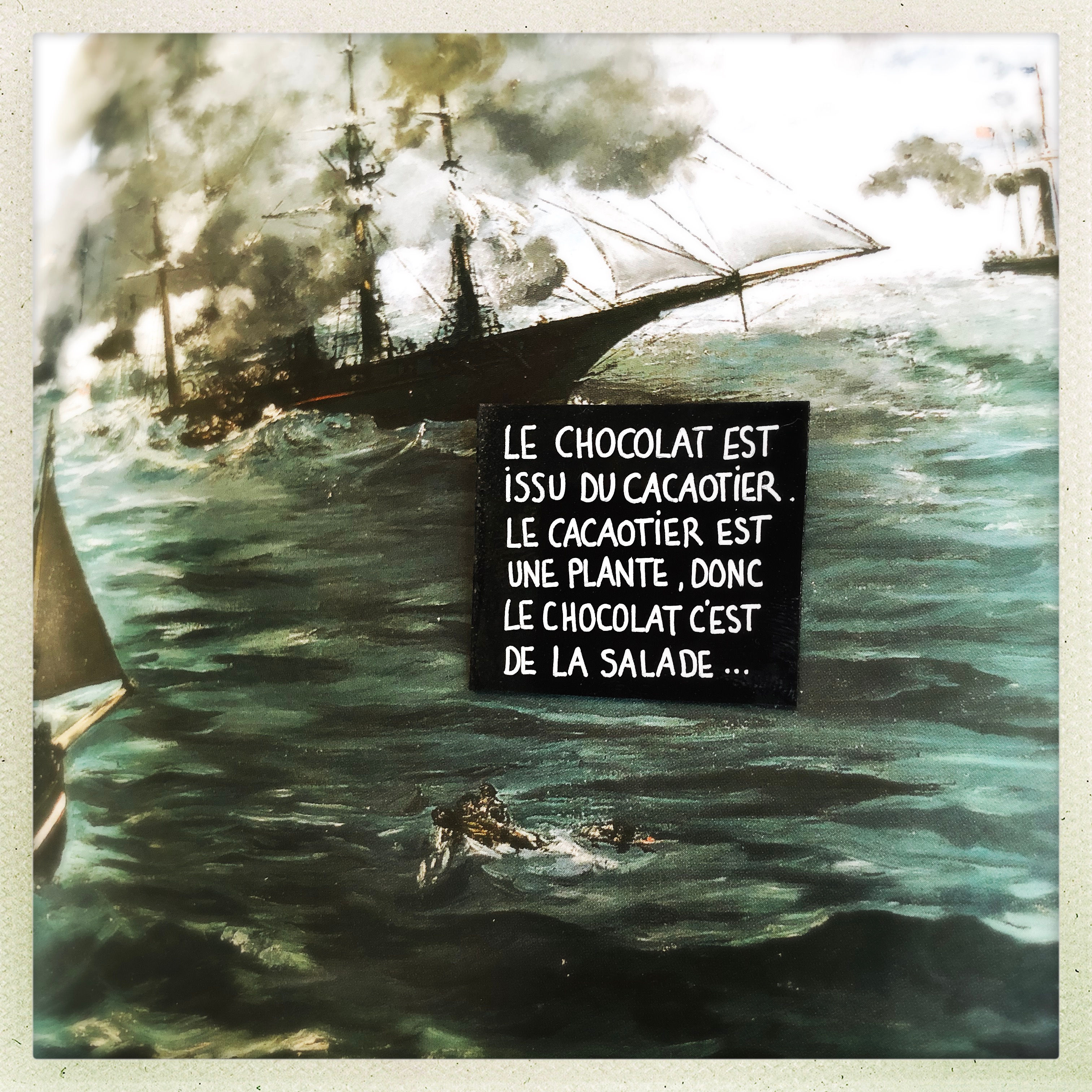 Le chocolat est issu du ...