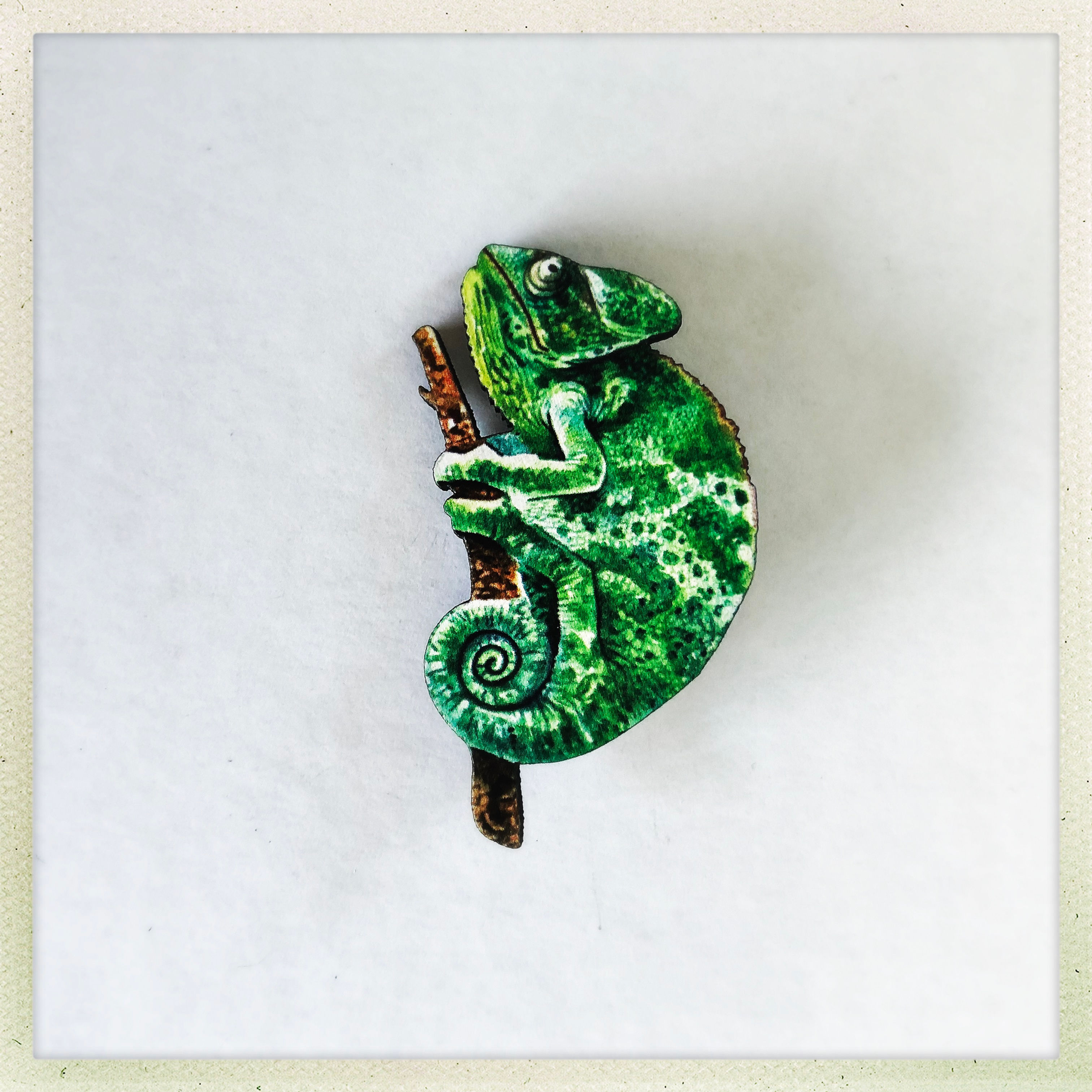 broche caméleon