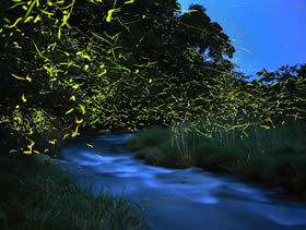 H田道の駅巡り8(中国編)+百名城巡り13