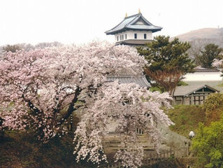 H田GW北海道旅行記2+百名城巡り20-2