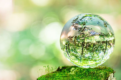 AdobeStock_171449958-scaled.jpeg