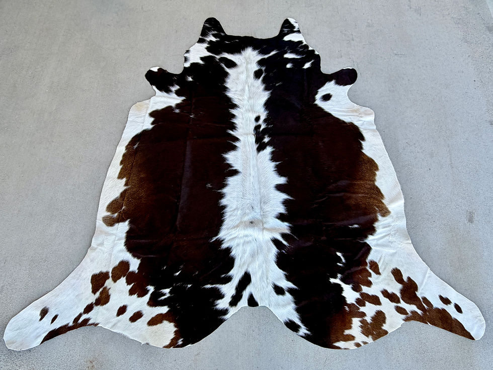 Large Cowhide Rodeo Rug Tricolor Brown Western Decor 6 x 6 ft