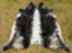 Large Cowhide Rodeo Rug Tricolor Black Western Decor