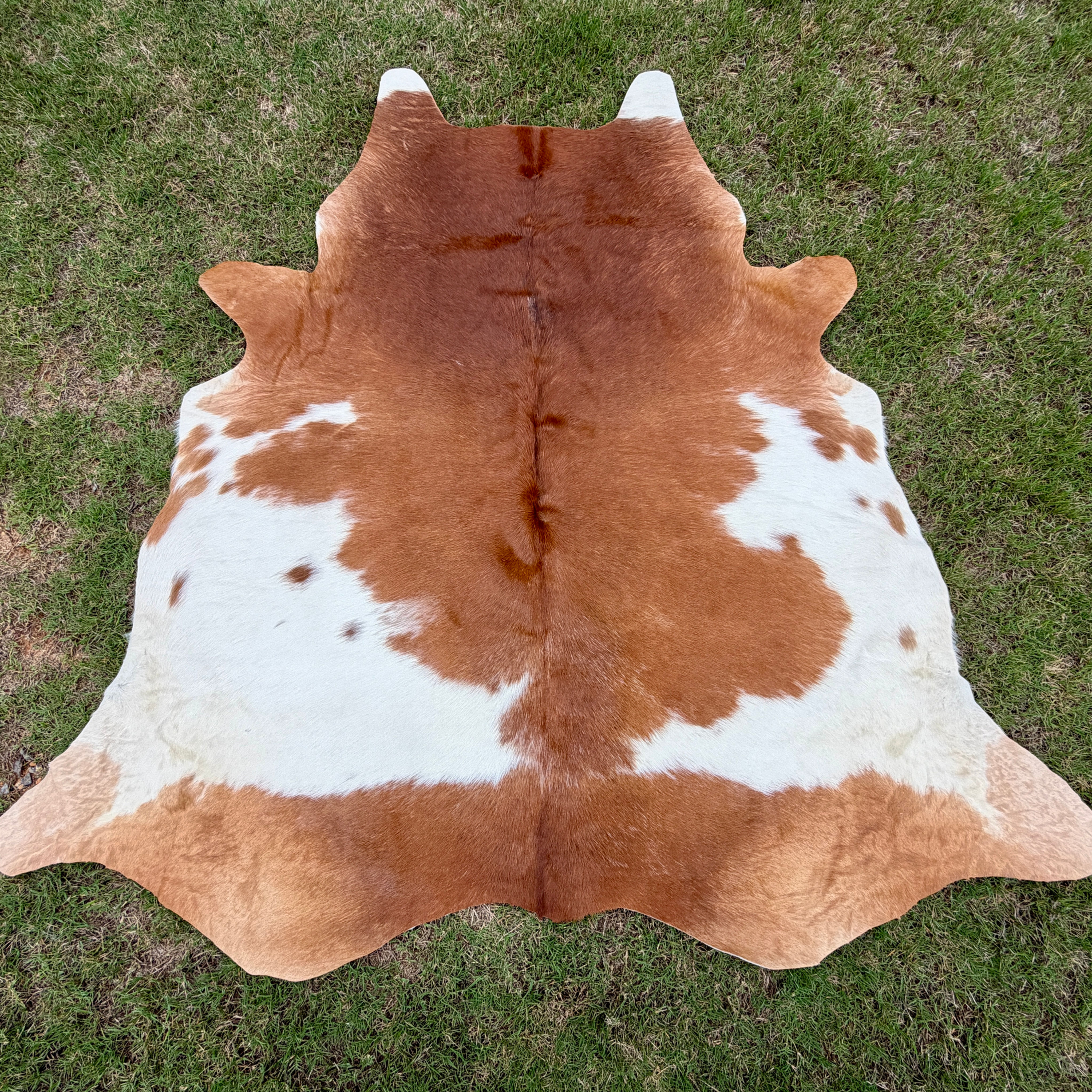 Large Cowhide Rodeo Rug Brown Western Decor 6 x 5.5 ft