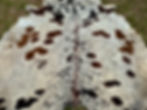 Large Cowhide Rug Tricolor Brown Western Decor 6.5 x 6 ft