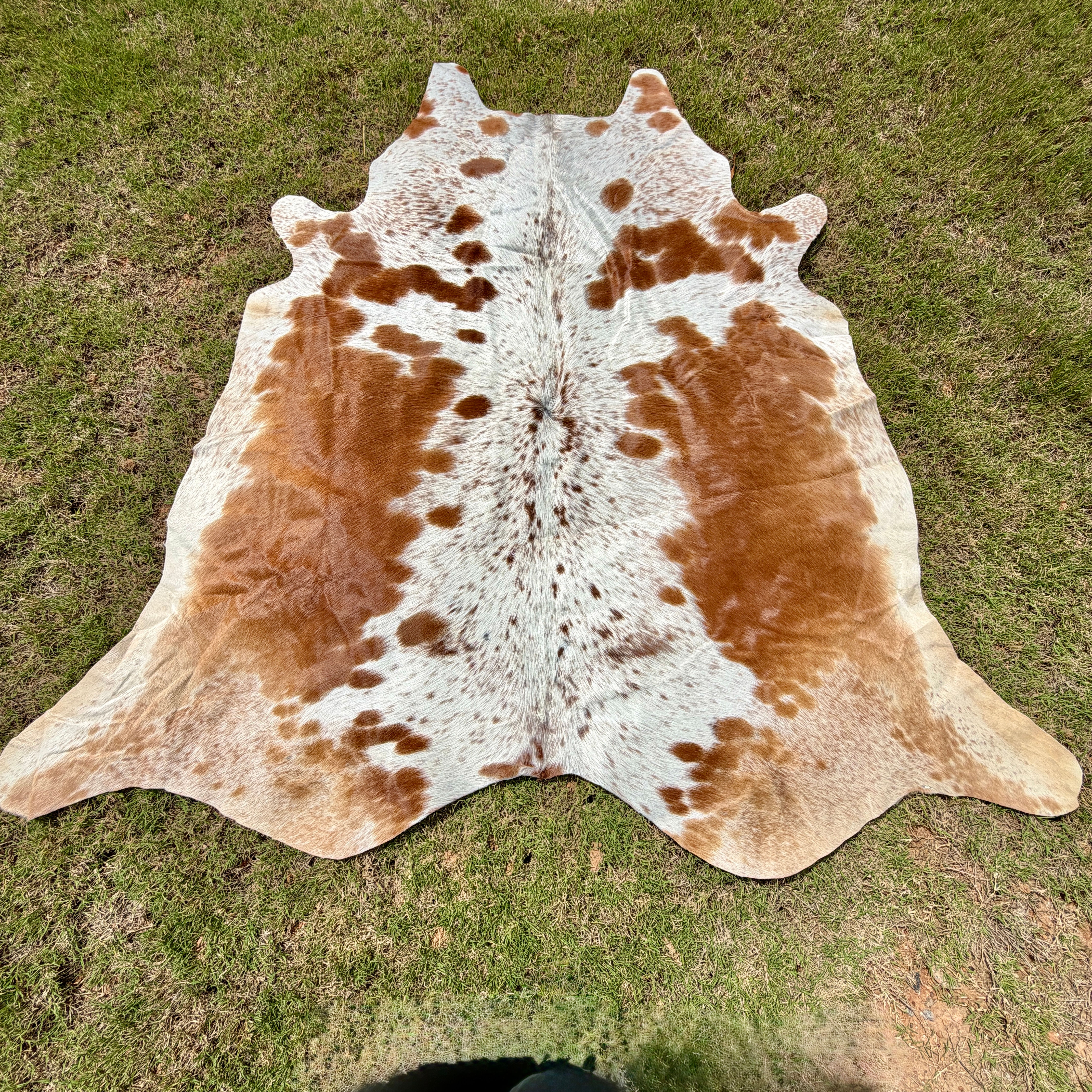 Large Cowhide Rodeo Rug Brown Western Decor 6 x 6 ft