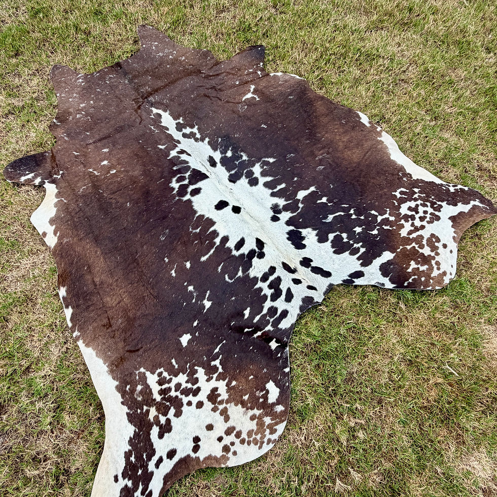 Thumbnail: Cowhide Rug Tricolor Brown Western Rodeo Decor 5.5 x 5.25 ft