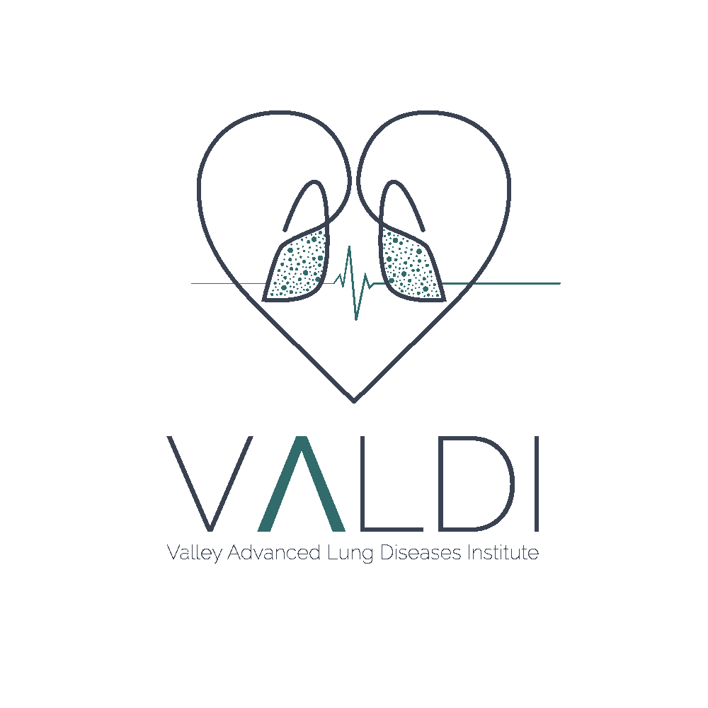 VALDI Logo Animation transparent_gif.gif