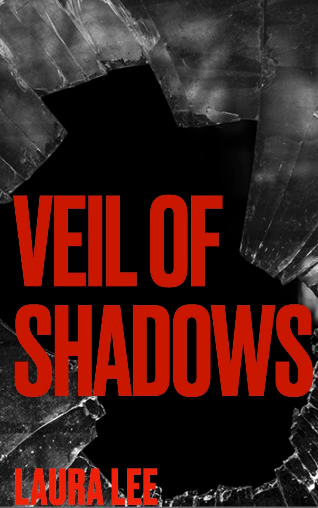 VEIL OF SHADOWS: By Laura Lee