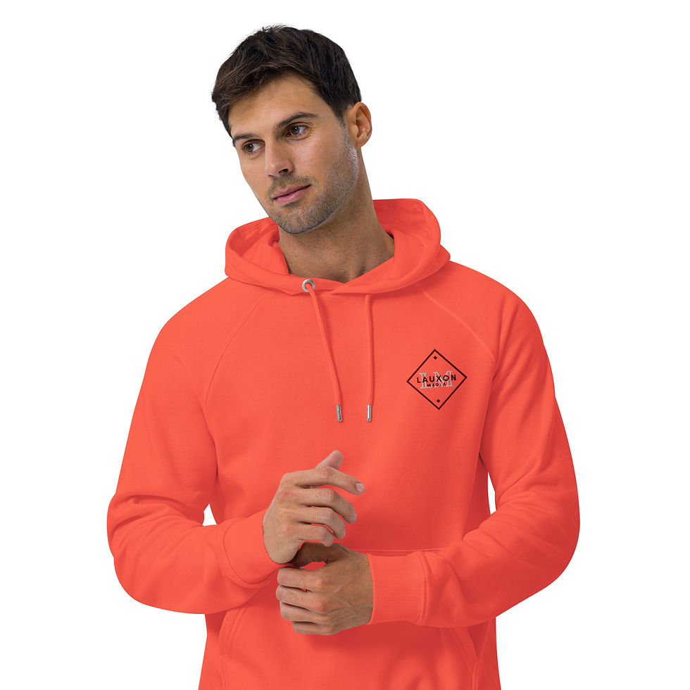 Thumbnail: eco raglan hoodie