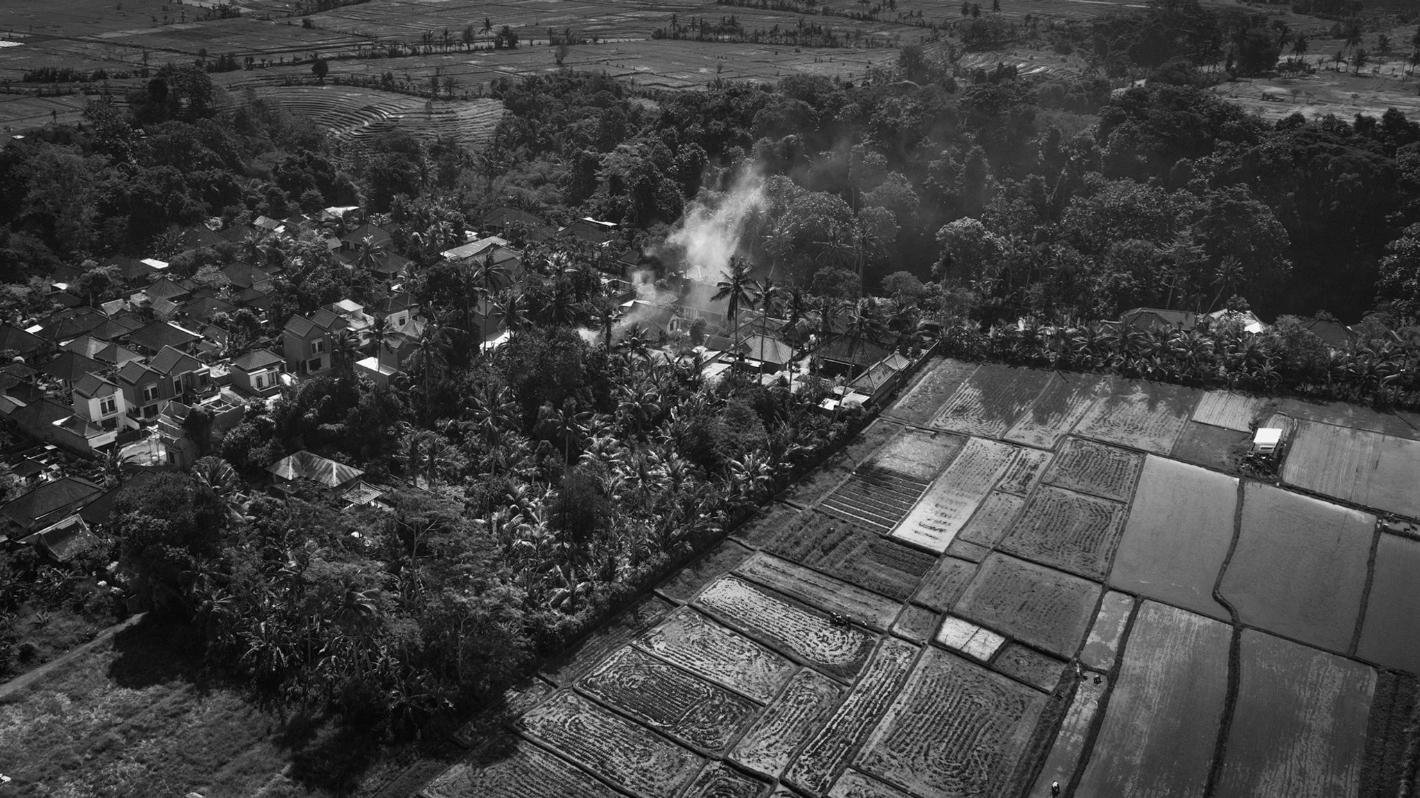 Rice Fields Series (3)