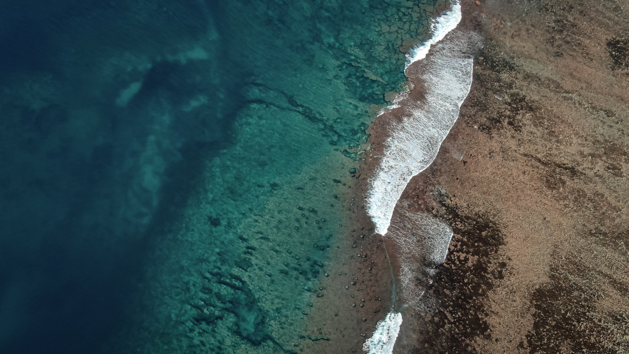 Flamant's reef