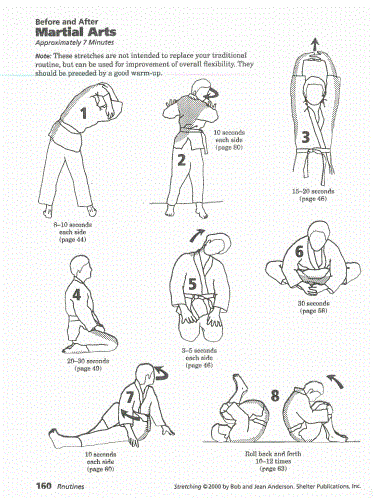 martial art.GIF