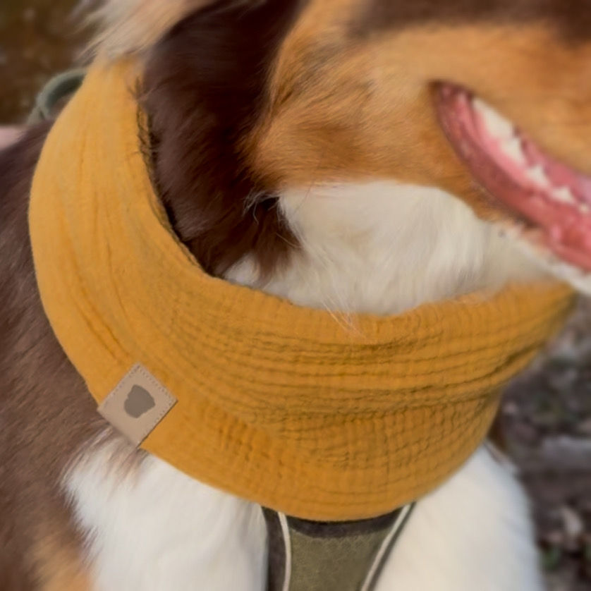 Miniature : SNOOD ÉNÉRGIE