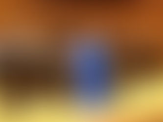 A successful first tour for the PBO!