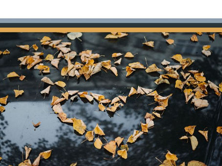 Jean-Michel Pilc's new single released on Justin Time Records