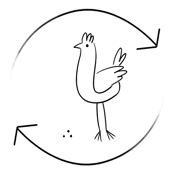 chimken