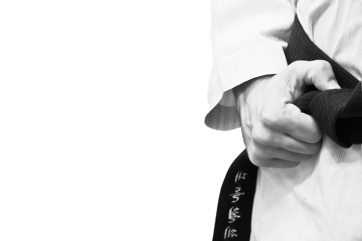 taekwondo_stock_by_yasincrow-d4y5ilq_LE_upscale_prime_x4_remove_background_general_clip_to