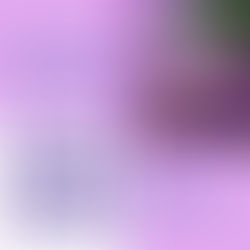 A conversão dos ouvidos