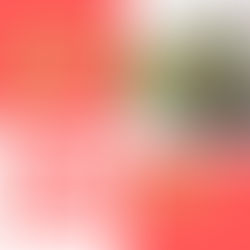 A livre entrega do Amor