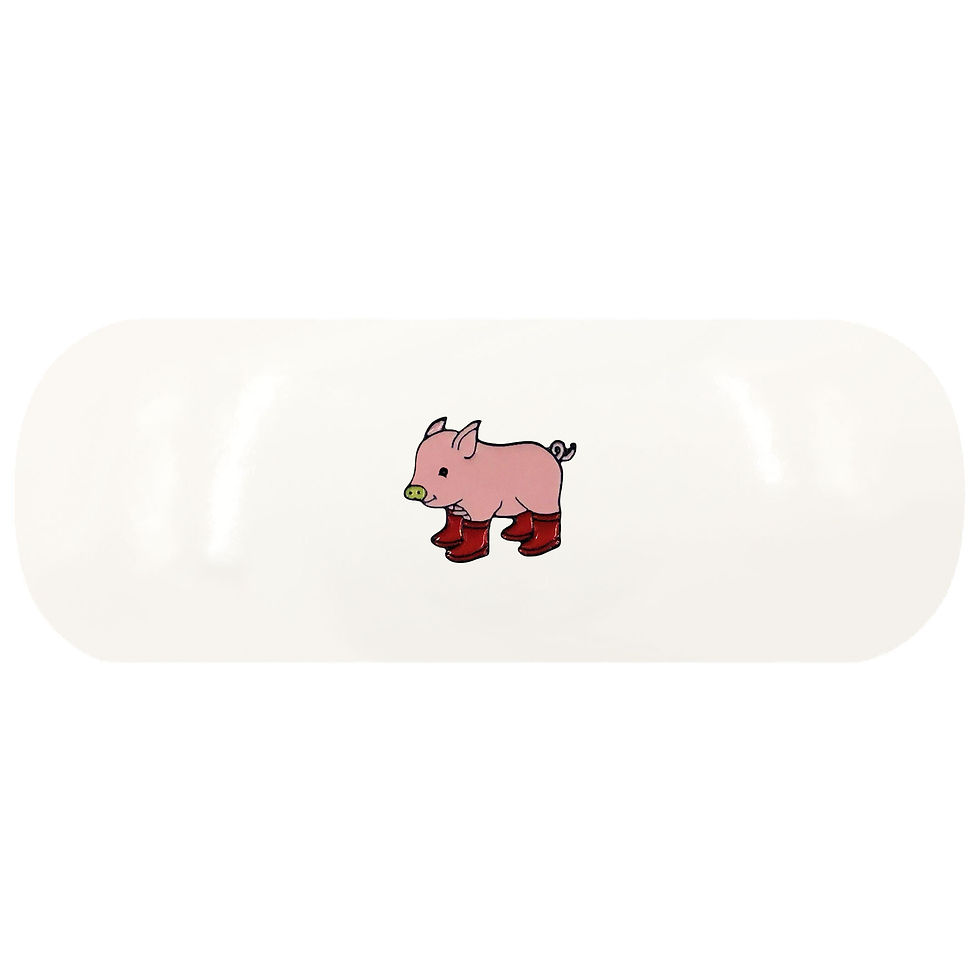 Pig Glasses Case