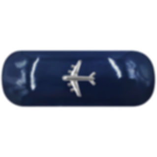 Airplane Glasses Case