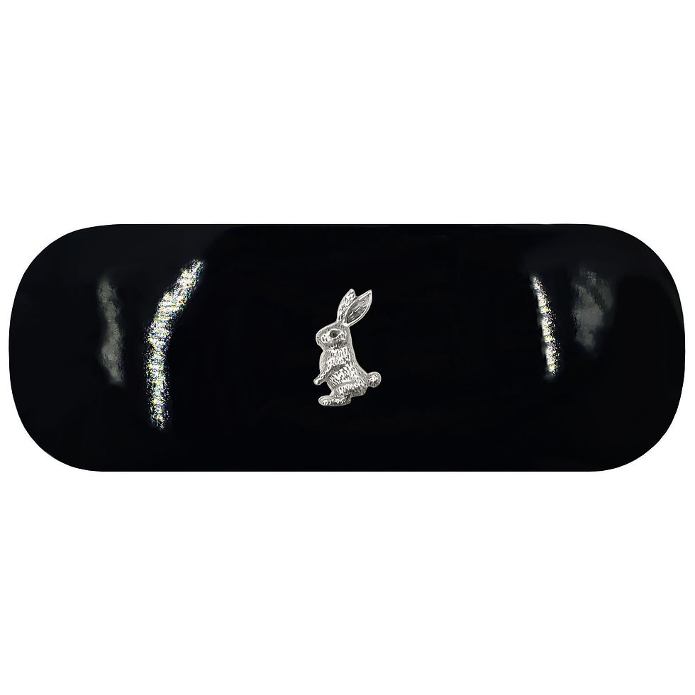 Bunny Rabbit Glasses Case