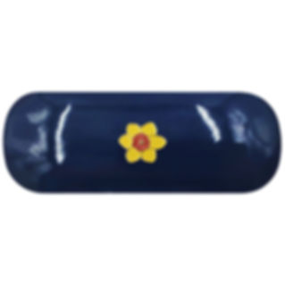 Daffodil Glasses Case