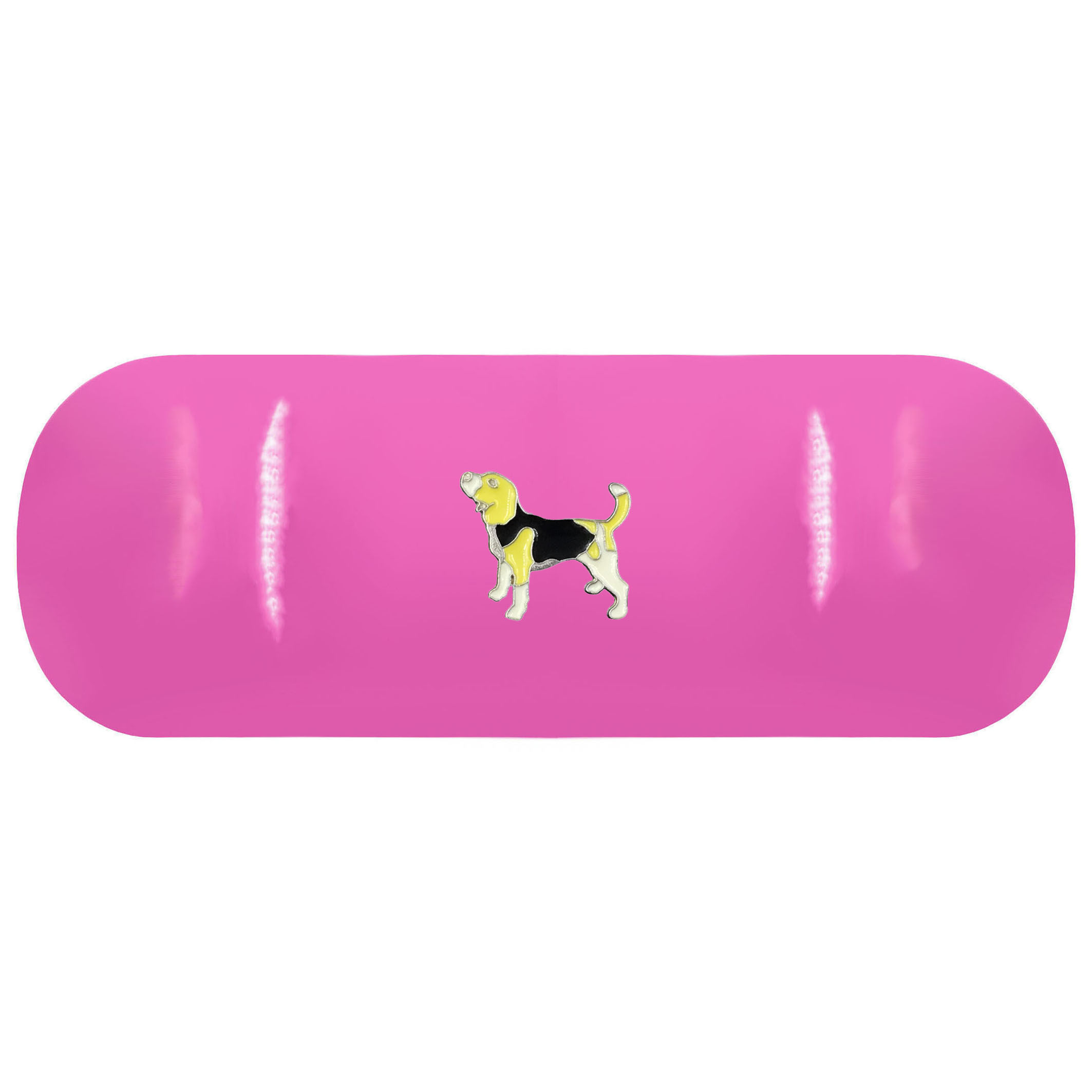 Beagle Glasses Case