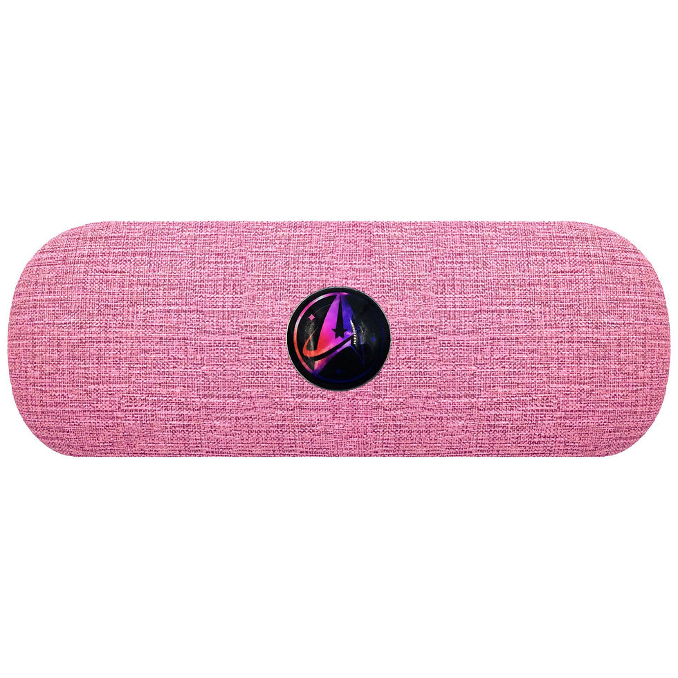 Star Trek Starfleet Glasses Case