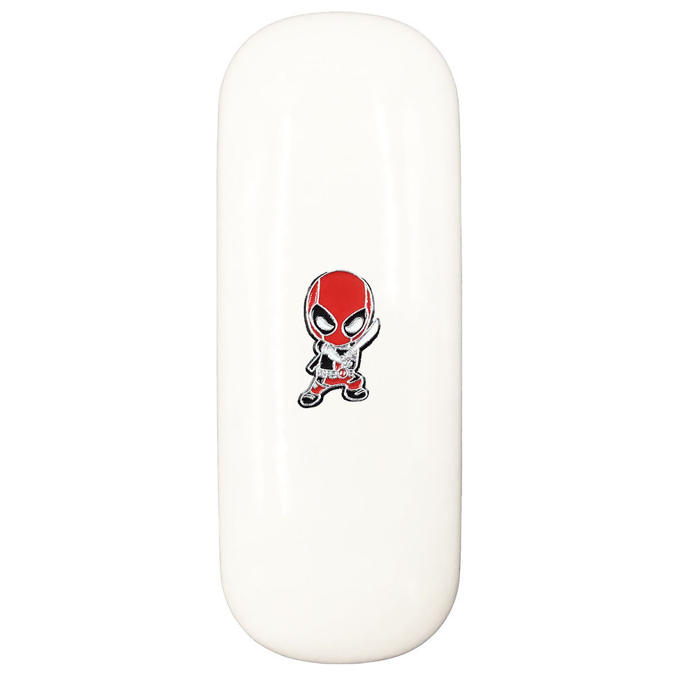 Ninja Glasses Case