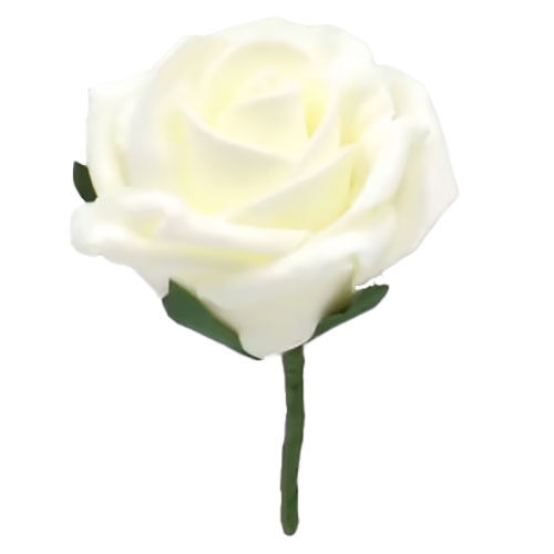 Thumbnail: Keepsake Foam Ivory Rose