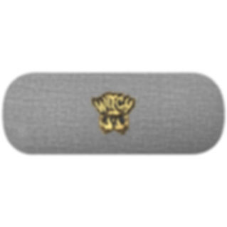 Witch Cauldron Glasses Case