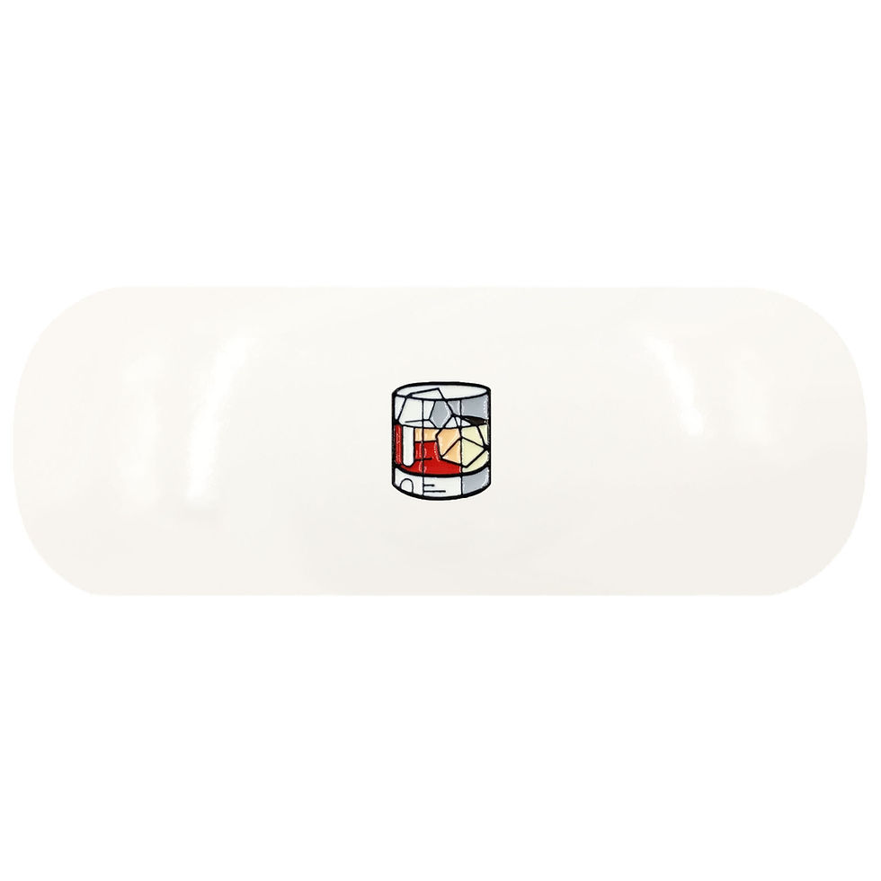 Whiskey Glasses Case