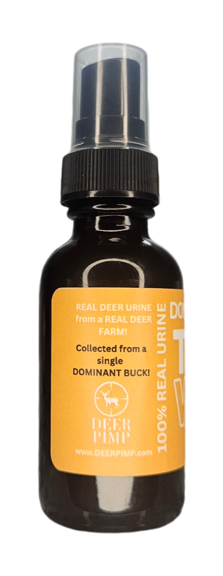 Thumbnail: Countertop Urine Display (36 Bottles)