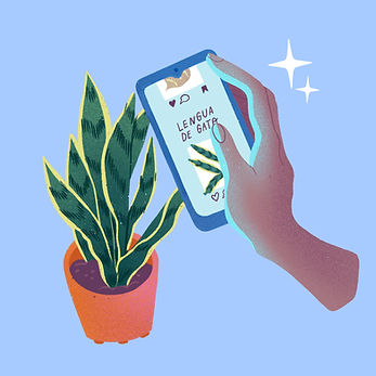 A_Cultivos (Lista de Plantas).JPG