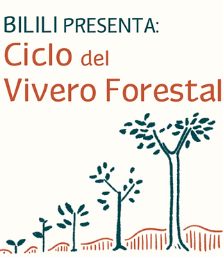 PORTADA vivero forestal.png