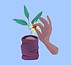 PR_Vivero Forestal.JPG