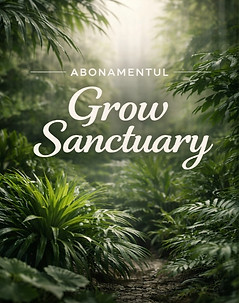 Seed Sanctuaryy_edited.jpg