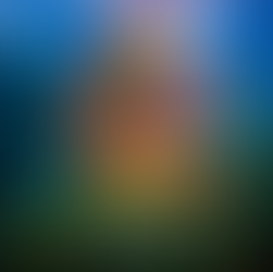 FURECHA DAME BURUNO: No se habla de Bruno en japonés.