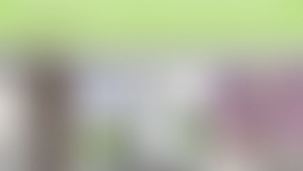 A Quick and Easy Multi-Media Approach 