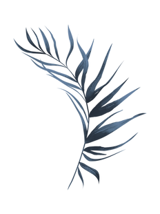 n (10).png