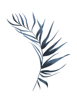 n (10).png