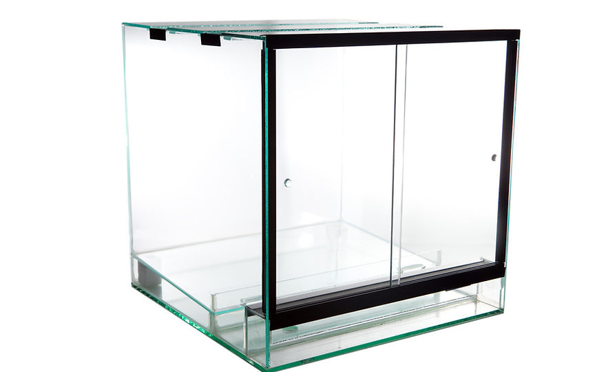 Terrarium