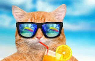 vacances_edited.jpg