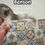 Thumbnail: Ringtail mosaic-ask about breeding rights 