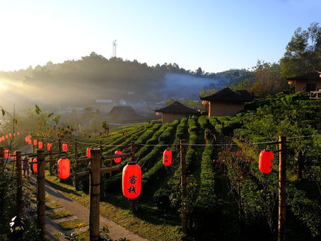 Thailand in Winter 2026: Attractions, Things to Do, and Itinerary